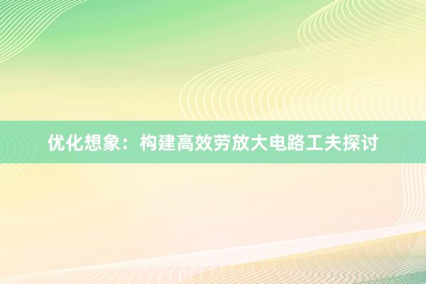 优化想象：构建高效劳放大电路工夫探讨